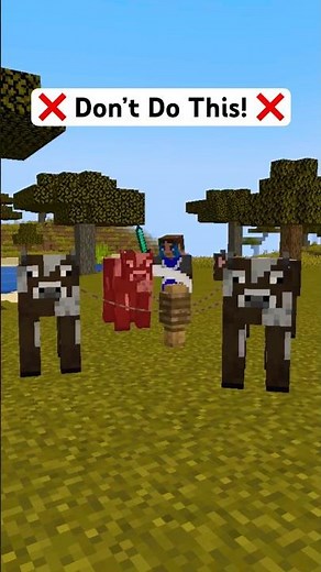 Best Way to Gather Leather in Minecraft! #shorts