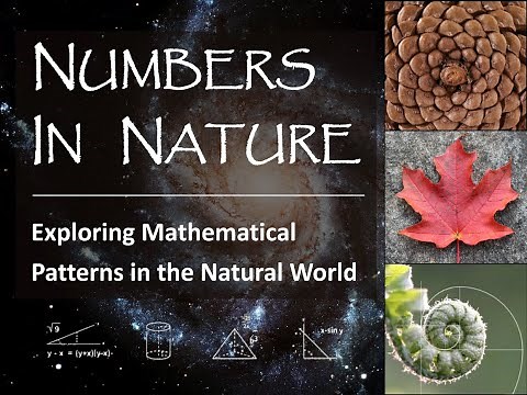 Numbers in Nature: Exploring Mathematical Patterns in the Natural World with Eric Fuselier