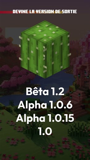 Devine la VERSION de sortie de ce bloc MINECRAFT en moins de 10 SECONDES ! Quiz 10