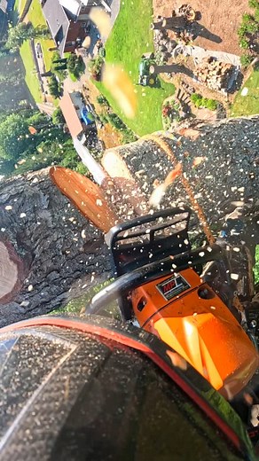 1.9K reactions · 19 shares | Tipping one. . . #climb #climber #climbing #chainsaw #chainsaws #outdoor #outdoors #outside #sun #work #working #tree #trees #treeservice #treeremoval #danger #dangerous | Robert.c.k | Facebook