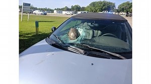Flying turtle crashes through man's windshield