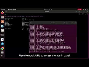 Using Ngrok with BeEF-XSS