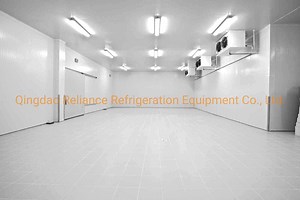 [Hot Item] Commercial Walk in Freezer Deep Blast Frozen Freezer Sliding Door Low Temperature Refrigeration Condensing Unit