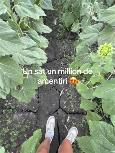 Agent 001🔥 (@boj.arina)’s videos with sunet original - Lyrics🎧🩵