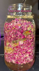 125K views · 3.3K reactions | Rose Extract Using Witch Hazel! Sounds like a gift in the making. #rosewater | The Active Herb | Facebook