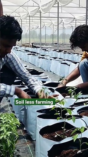 Soil less farming