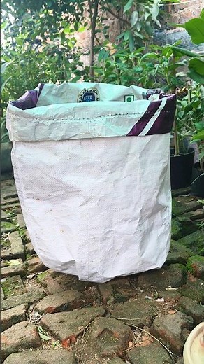 How to make grow bag at home 🏡👍🌱#diy garden #plant #grow bag