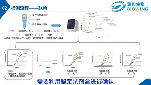 大小鼠病原体检测试剂盒检测流程-联检