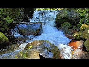 ASMR River Sounds at Midday – Relaxing Flowing Water for Deep Calm