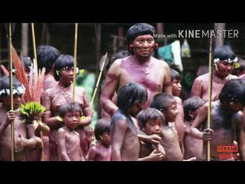 YANOMAMI- VILLAGE TRIBE PEOPLE LAND & CULTURE IN THE AMAZON RAIN FOREST