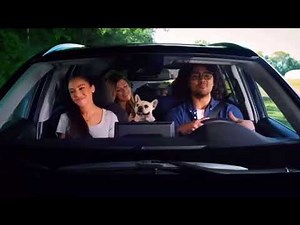 Safelite auto glass is that a chip? (6-sec)