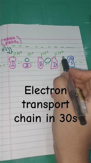 Electron Transport Chain Explained in 30 Seconds | ETC Made Easy | Cellular Respiration