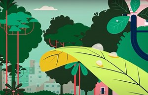 What is ecosystem-based adaptation?