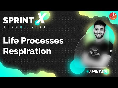Sprint X Term 1 - Life Processes: Respiration | CBSE Class 10 Biology Chapter 6 | Vedantu 9 & 10