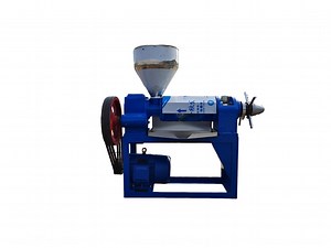 [Hot Item] Auto 6YL-85 Screw Cooking Oil Press Machine With 80-120kg/h