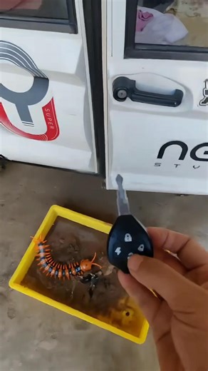 Ramu Ki Car Key Miti Waly Daby Me Giri 😡 | ~ mini wood toy- woodworking art skill/wood hand #shorts