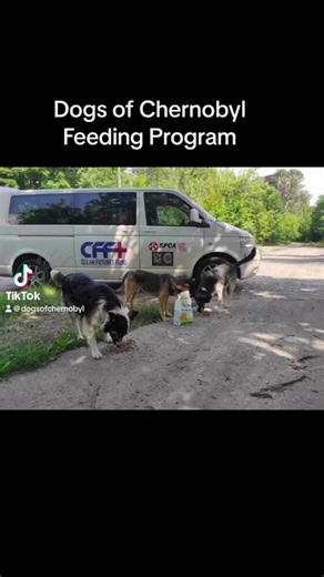 Clean Futures Fund on Reels