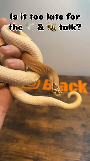 547K views · 9.6K reactions | Is it too late for the talk??  Miss...