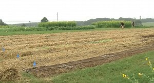 UGA Composting Reduces Landfill Waste — Grady Newsource