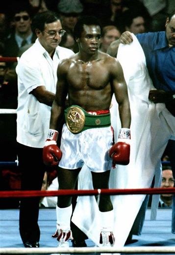 Ray Sugar Leonard Knockout Highlights