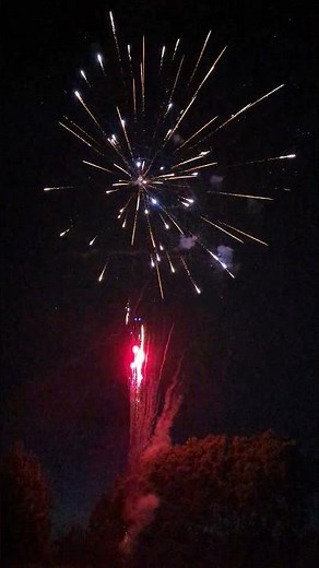 Electrified 💀⚡ 25 shot 500g firework.