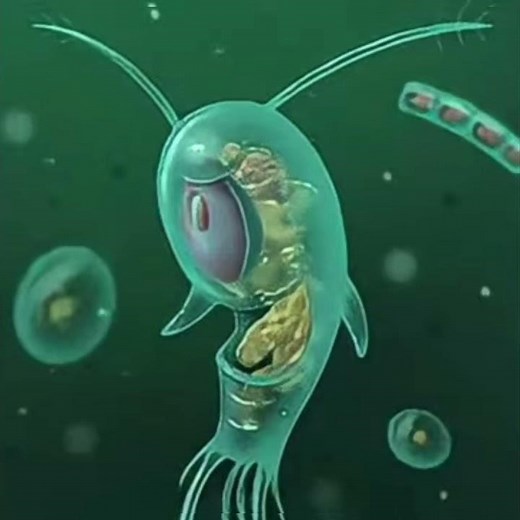 1 Bit 2 Bit 4 Bit 8 Bit 16 BIT 32 Bit 128 Bit 256 Bit 512 Bit 1024 Bit 2048 Plankton #shorts