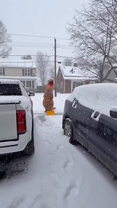 🦖❄️ ¡Hasta los dinosaurios limpian la nieve en Springfield, MA! Nuestra televidente Carmen Torres nos envía este divertido video donde un “dino” se adelanta para despejar su driveway antes de que se acumule más nieve. ⛄💪 📹 ¿Tú también tienes momentos divertidos con la nieve? ¡Envíanos tus fotos y videos! #TormentaInvernal #NieveEnNuevaInglaterra #TelemundoNE #DinoEnAcción | José A. Rivera Adrovet Telemundo Nueva Inglaterra