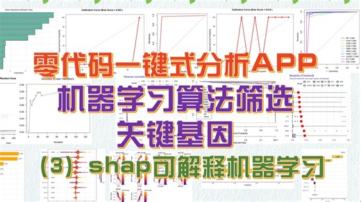零代码学生信：shap可解释机器学习—十种算法，最优模型