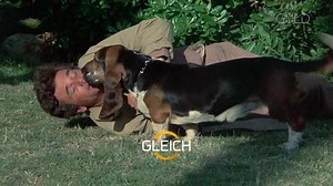 Inspektor Columbo löst selbst die schwierigsten Fälle. 👉 Gleich ermittelt unser Lieblings-Detective wieder ohne Ende bei unserem Columbo-Marathon, ab 14:55 Uhr. 🕵‍♂ | SAT.1 GOLD