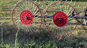 Raking of dried hay with tractor rotary wheel-finger rake