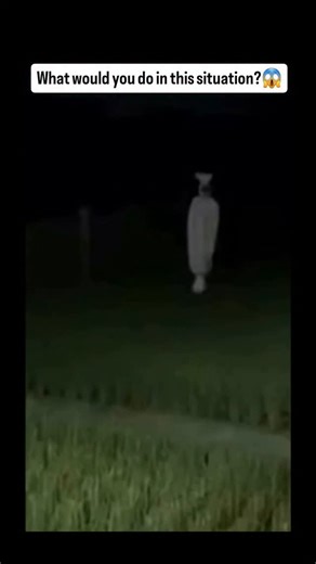 Scary_Encounter5 on Instagram: "What would you do in this situation? 😱 Credit- scaryytime / IG Follow 👉 @scaryencounter 👈 for more mysterious unsettling videos on IG No copyright infringement intended. DM and I'll remove your video. Thanks. #sky #cryptid #demon #mystery #viralreels #ufo #extraterrestrial #alien #scary #jin #creatures #phenomenon #trending #angel #mexico #creepy #paranormal #monsters #uap #pocong #spirituality #usa #skinwalker #haunted #area51 #horror crea