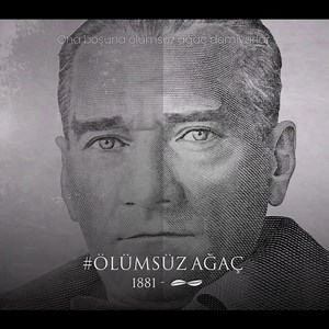 1M views · 9.5K reactions | Değil yüzyıl, bin yıllar geçse bile yeni filizler vererek yaşamaya, hayat vermeye, fikri hür, vicdanı hür nesillere ışık tutmaya devam edecek. Sen bizim ölümsüz ağacımızsın. Saygı ve özlemle anıyoruz. #10Kasım #MustafaKemalAtatürk #ÖlümsüzAğaç #Komili | Komili Zeytinyağı | Facebook