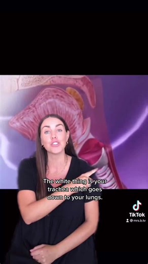 Meet the tiny throat flap that keeps you from choking