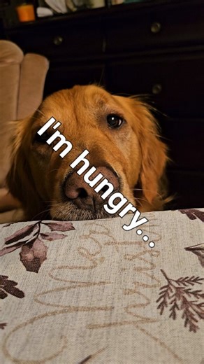 3.2K views · 176 reactions | Frens, I need your help! My dad has not...