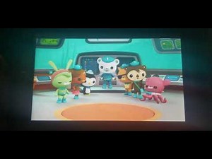 Creature report Sea spiders and zombie worms