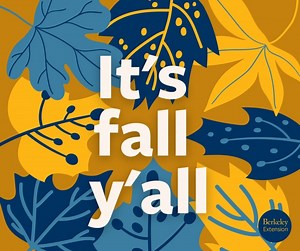 Well, almost...Fall enrollment opens on June 20th! Learn more here: https://bit.ly/43MxPsG | UC Berkeley Extension | Facebook