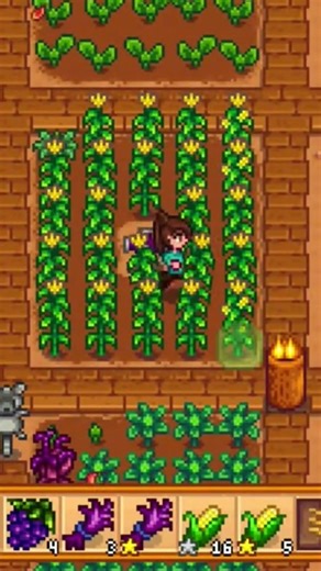 Harvesting with iridium scythe #stardewshorts #stardewvalley #stardew #stardewtips