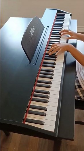 ZHRUNS Beginner Digital Piano Keyboard with 88 Key Full Size Semi Weighted Keyboard