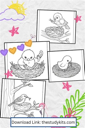 Nest Building Coloring Pages for Kids – Fun Bird Nest Nature Activity