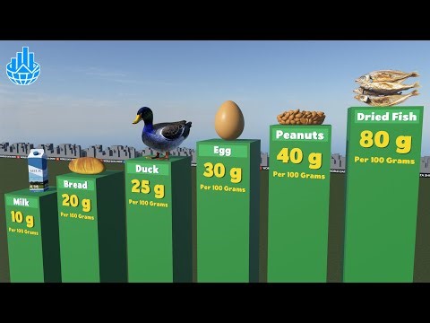 Highest Protein Foods | You’re Eating the Wrong Ones!