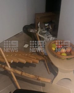 Ssssneaky sssssurpise! 🐍 Two snakes have crashed through the ceiling of a southern Gold Coast home overnight. See the full story LIVE, 5.30pm on #9News | 9 News Gold Coast