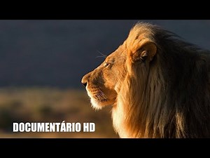 DOCUMENTÁRIO HD: ÁFRICA SELVAGEM [DUBLADO PT/BR]