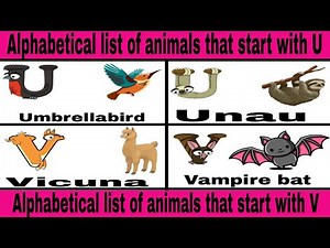 Exploring Animals That Start with U and V: A Fascinating Animal Journey"