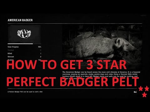 Red Dead Redemption 2 HOW TO GET BADGER PERFECT PELT + 5 LOCATIONS