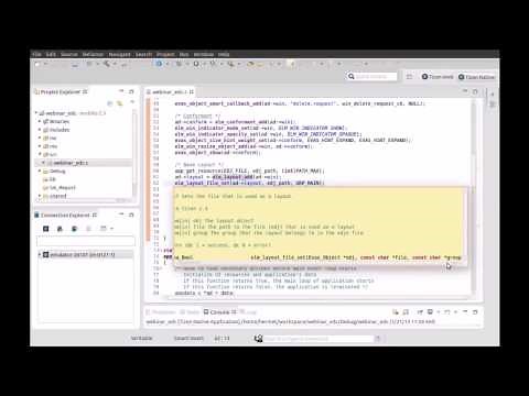 Tizen Native Application Programming