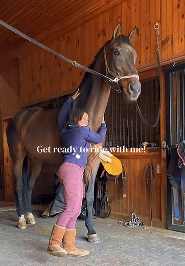 Get Ready for an Equestrian Adventure