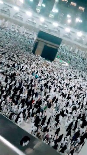 tajdar aa haram 💞 #status #shorts #islamicstatus#