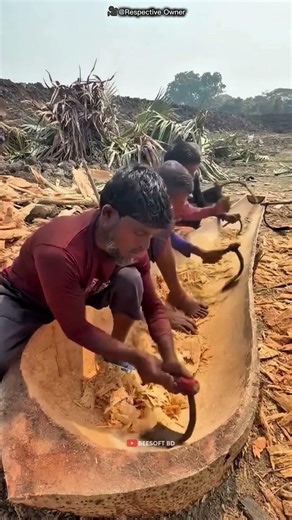 100-Year Boat Made from a Single Palm Tree #shorts