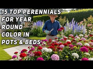 15 Best Perennials for Year-Round Colour in Pots and Garden Beds