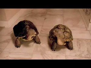 Xfinity Slowskys babysitter commercial (2012)